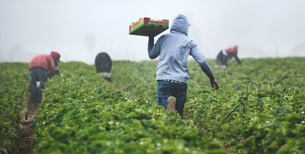 Farmers, agri-workers and their families deserve respect