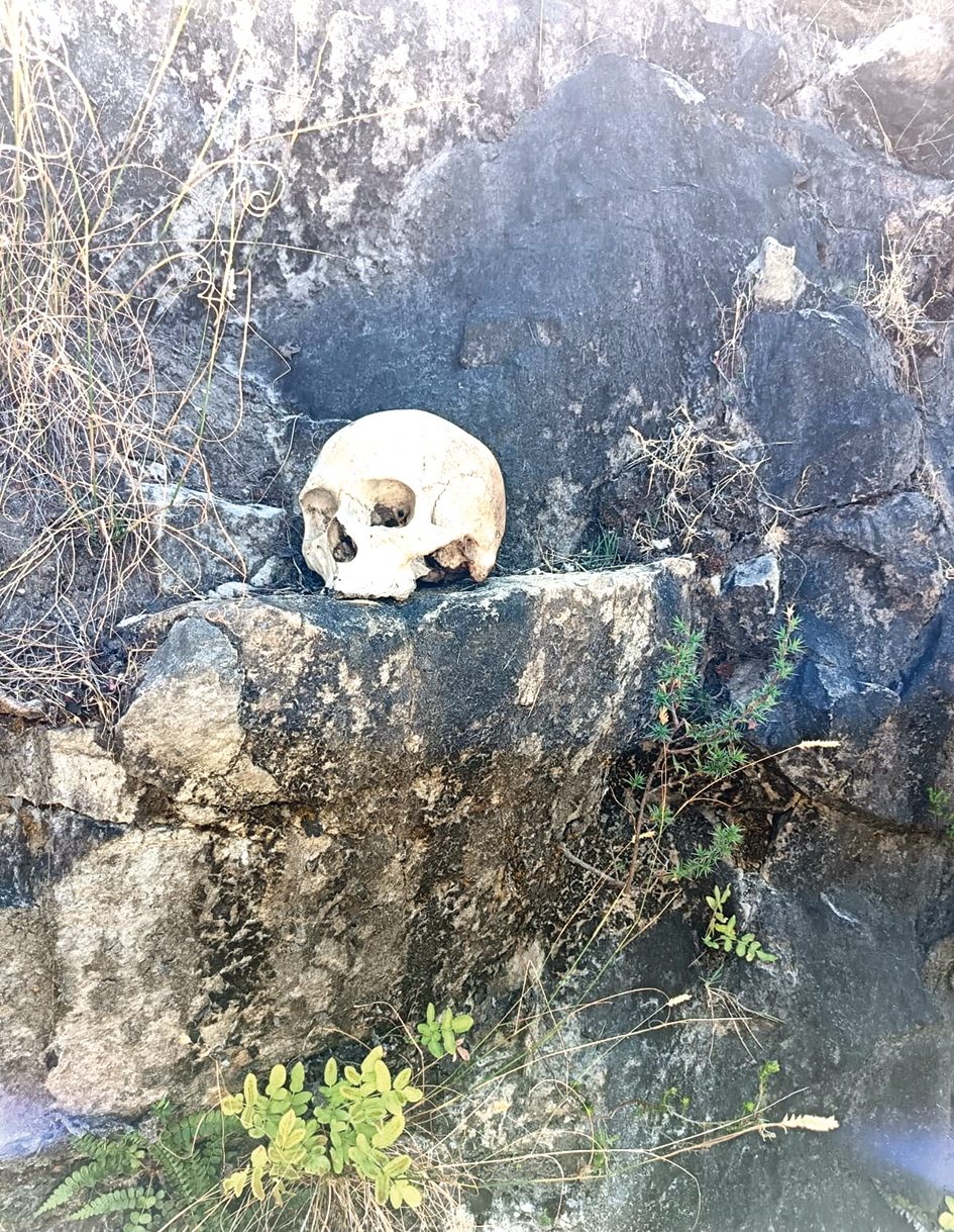 Ou skedel in Michellspas gekry